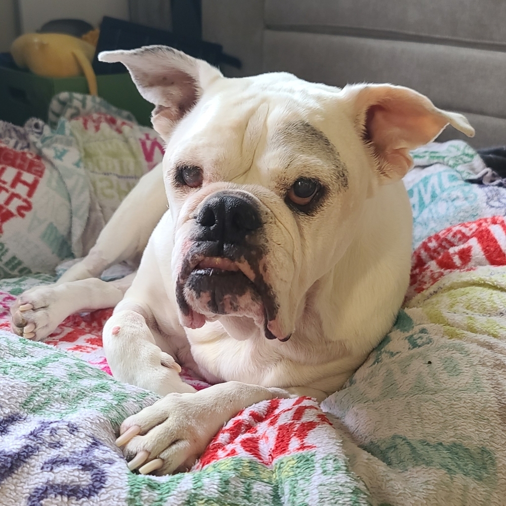 Meet your Posher, Jeanne